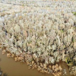 Photo of SOLD!  9.9 Acres of River Front Hunting Land For Sale in Wayne County NC!