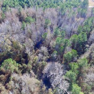 Photo of UNDER CONTRACT!  17.94 Acres of Residential and Hunting Land For Sale in Craven County NC!