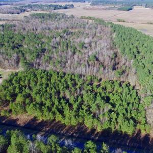 Photo of UNDER CONTRACT!  17.94 Acres of Residential and Hunting Land For Sale in Craven County NC!
