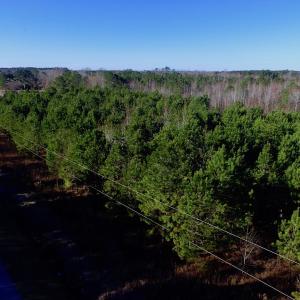 Photo of UNDER CONTRACT!  17.94 Acres of Residential and Hunting Land For Sale in Craven County NC!