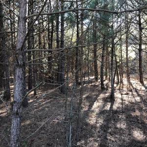 Photo of UNDER CONTRACT!  17.94 Acres of Residential and Hunting Land For Sale in Craven County NC!