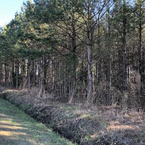 Photo of UNDER CONTRACT!  17.94 Acres of Residential and Hunting Land For Sale in Craven County NC!