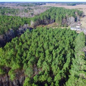 Photo of UNDER CONTRACT!  17.94 Acres of Residential and Hunting Land For Sale in Craven County NC!