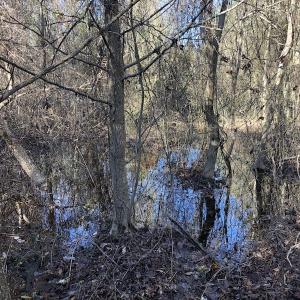 Photo of UNDER CONTRACT!  17.94 Acres of Residential and Hunting Land For Sale in Craven County NC!