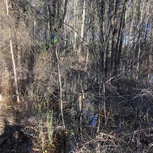 Photo of UNDER CONTRACT!  17.94 Acres of Residential and Hunting Land For Sale in Craven County NC!