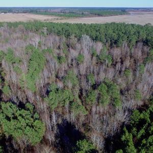 Photo of UNDER CONTRACT!  17.94 Acres of Residential and Hunting Land For Sale in Craven County NC!