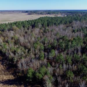 Photo of UNDER CONTRACT!  17.94 Acres of Residential and Hunting Land For Sale in Craven County NC!