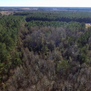 Photo of UNDER CONTRACT!  17.94 Acres of Residential and Hunting Land For Sale in Craven County NC!