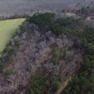 Photo of SOLD!  7.6  Acres of Residential Timber Land for Sale in VA Beach!