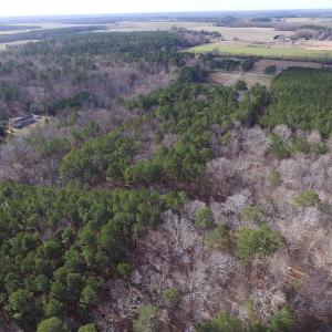 Photo of SOLD!  7.6  Acres of Residential Timber Land for Sale in VA Beach!