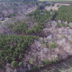 Photo of SOLD!  7.6  Acres of Residential Timber Land for Sale in VA Beach!