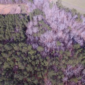 Photo of SOLD!  7.6  Acres of Residential Timber Land for Sale in VA Beach!