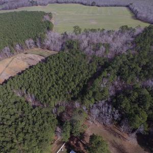 Photo of SOLD!  7.6  Acres of Residential Timber Land for Sale in VA Beach!
