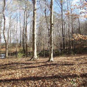 Photo of SOLD!  7.6  Acres of Residential Timber Land for Sale in VA Beach!