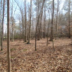 Photo of SOLD!  7.6  Acres of Residential Timber Land for Sale in VA Beach!