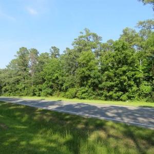 Photo of SOLD!!  5 Acres of Residential and Timber Land For Sale in Hoke County NC!