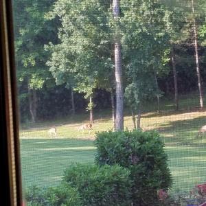 Photo of 20 Acres of Residential Land with Home For Sale in Nottoway County VA!