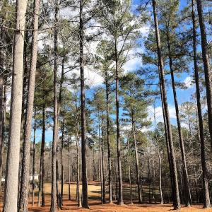 Photo of 20 Acres of Residential Land with Home For Sale in Nottoway County VA!