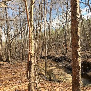 Photo of 20 Acres of Residential Land with Home For Sale in Nottoway County VA!