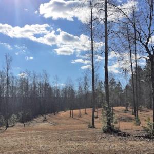Photo of 20 Acres of Residential Land with Home For Sale in Nottoway County VA!