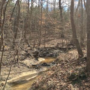 Photo of 20 Acres of Residential Land with Home For Sale in Nottoway County VA!