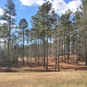 Photo of 20 Acres of Residential Land with Home For Sale in Nottoway County VA!