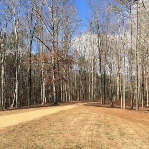 Photo of 20 Acres of Residential Land with Home For Sale in Nottoway County VA!