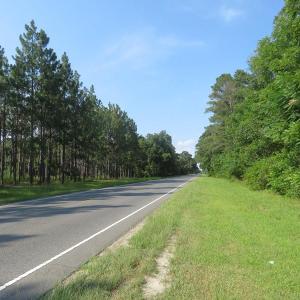 Photo of UNDER CONTRACT!  25 Acres of Timber Land For Sale in Hoke County NC!