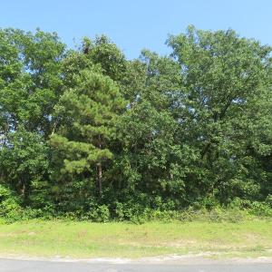 Photo of UNDER CONTRACT!  25 Acres of Timber Land For Sale in Hoke County NC!