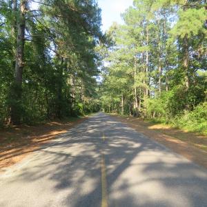 Photo of UNDER CONTRACT!  25 Acres of Timber Land For Sale in Hoke County NC!