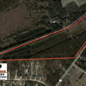 Photo of UNDER CONTRACT!  25 Acres of Timber Land For Sale in Hoke County NC!