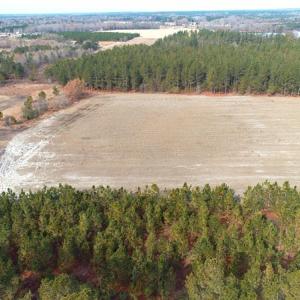 Photo of UNDER CONTRACT!  89 Acres of Timber and Farm Land For Sale in Hoke County NC!
