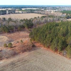 Photo of UNDER CONTRACT!  89 Acres of Timber and Farm Land For Sale in Hoke County NC!