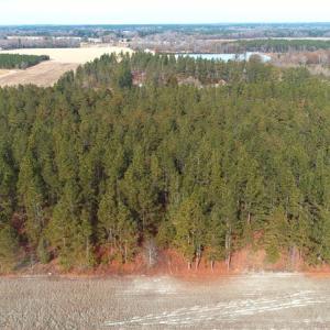 Photo of UNDER CONTRACT!  89 Acres of Timber and Farm Land For Sale in Hoke County NC!