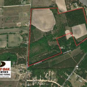 Photo of UNDER CONTRACT!  89 Acres of Timber and Farm Land For Sale in Hoke County NC!