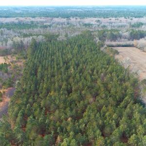 Photo of SOLD!!  139 Acres of Timber and Hunting Land For Sale in Hoke County NC!
