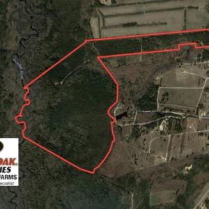 Photo of SOLD!!  139 Acres of Timber and Hunting Land For Sale in Hoke County NC!