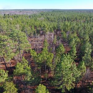 Photo of UNDER CONTRACT!  13.81 Acres of Timber, Residential and Recreational Land For Sale in Richmond County NC!