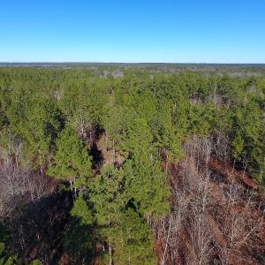 Photo of UNDER CONTRACT!  13.81 Acres of Timber, Residential and Recreational Land For Sale in Richmond County NC!