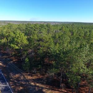 Photo of UNDER CONTRACT!  13.81 Acres of Timber, Residential and Recreational Land For Sale in Richmond County NC!