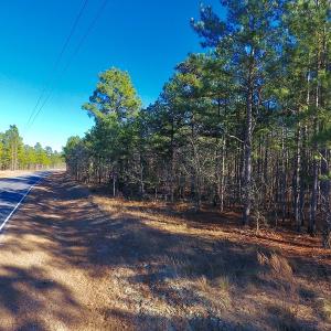 Photo of UNDER CONTRACT!  13.81 Acres of Timber, Residential and Recreational Land For Sale in Richmond County NC!