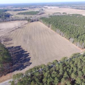 Photo of UNDER CONTRACT!  42.6 Acres of Timber and Farm Land For Sale in Sussex County VA!