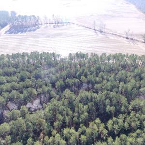 Photo of UNDER CONTRACT!  42.6 Acres of Timber and Farm Land For Sale in Sussex County VA!