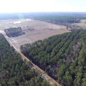 Photo of UNDER CONTRACT!  42.6 Acres of Timber and Farm Land For Sale in Sussex County VA!
