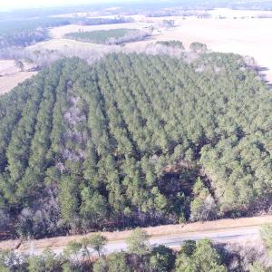Photo of UNDER CONTRACT!  42.6 Acres of Timber and Farm Land For Sale in Sussex County VA!