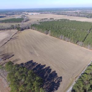 Photo of UNDER CONTRACT!  42.6 Acres of Timber and Farm Land For Sale in Sussex County VA!