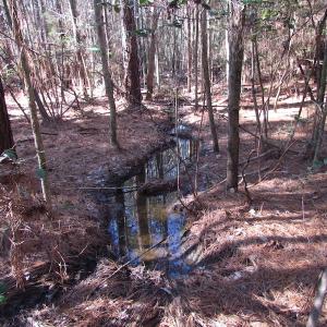 Photo of UNDER CONTRACT!  42.6 Acres of Timber and Farm Land For Sale in Sussex County VA!