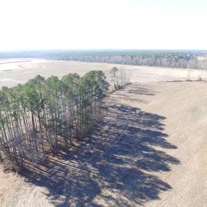 Photo of UNDER CONTRACT!  42.6 Acres of Timber and Farm Land For Sale in Sussex County VA!