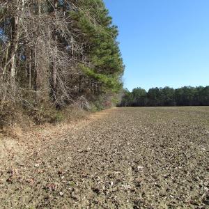 Photo of UNDER CONTRACT!  42.6 Acres of Timber and Farm Land For Sale in Sussex County VA!