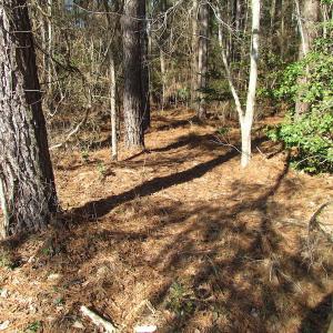 Photo of UNDER CONTRACT!  42.6 Acres of Timber and Farm Land For Sale in Sussex County VA!